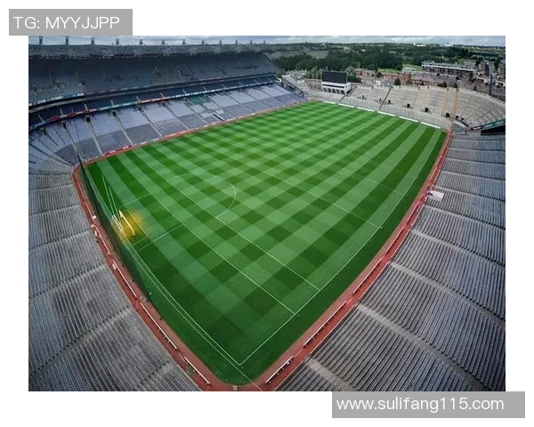 巴字闪耀绿茵场足球明星名字中的巴字传奇与魅力解析