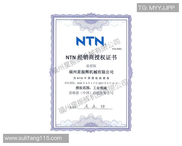 如何轻松获得足球明星签名证书的实用攻略与技巧分享