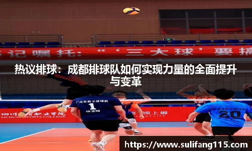 热议排球：成都排球队如何实现力量的全面提升与变革