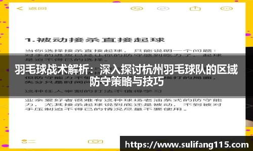 羽毛球战术解析：深入探讨杭州羽毛球队的区域防守策略与技巧
