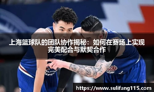 上海篮球队的团队协作揭秘：如何在赛场上实现完美配合与默契合作